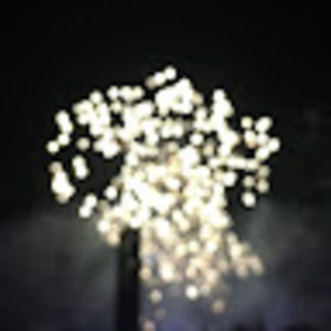 Meet your Posher, Kai